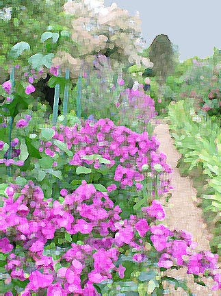 lavendar-and-smoke-tree