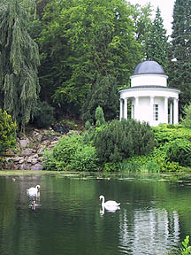 lake with swans kassel