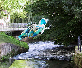 bird over river bird over river