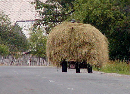 cart of hay