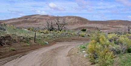 Sand Road and Dunes