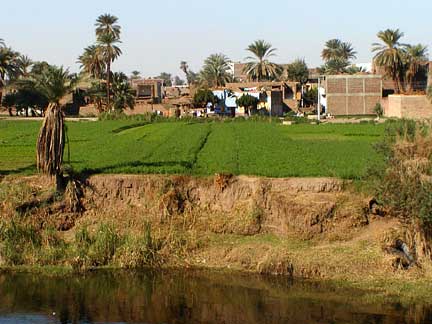 crops village south of edfu