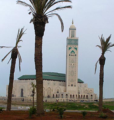 Hassan II Mosque with Palms