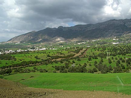 Landscape