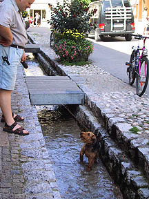 gutter in street