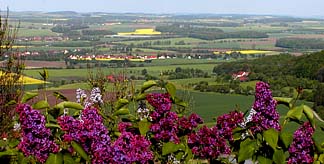hohenlohe plain with lilacs