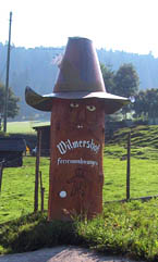 log with hat