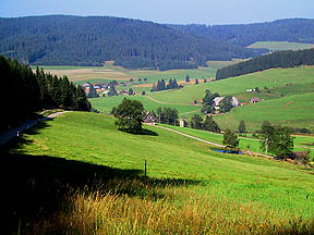 valley view