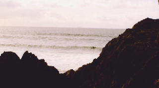 surfer
