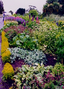 botanic border