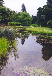botanic gardens