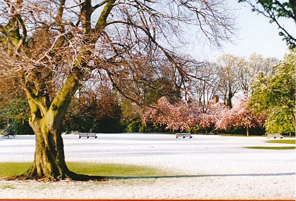 Snow in Hubert Park