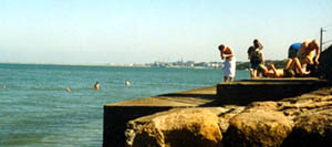swim irish sea