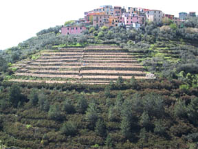 hilltop town