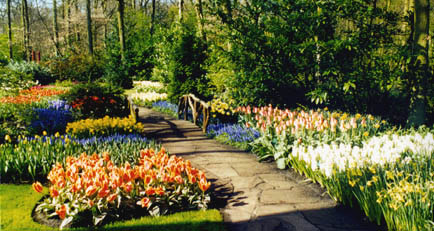 keukenhoff grounds