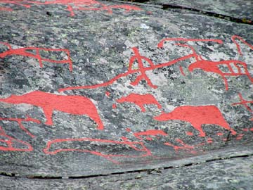 carving bears
