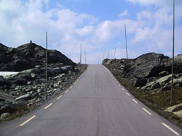 poles along road