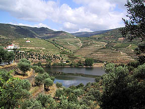douro near folgosa