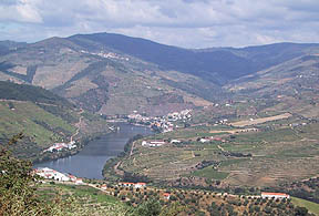 douro valley from n222