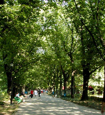 sunday in the park
