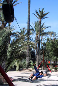 boy on swing