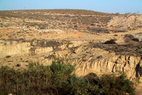 terrain