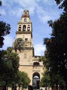 patio de naranjos