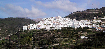 canillas de albaida