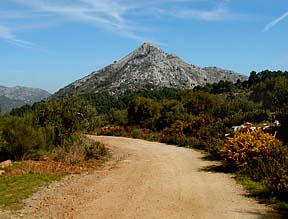 walk near ojen