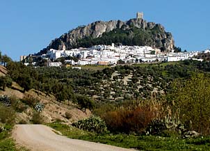 zahara from below