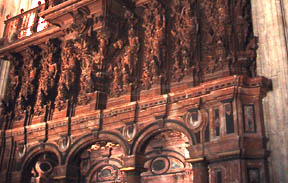 organ detail
