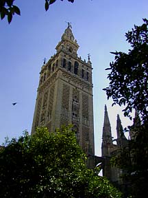 tower from patio