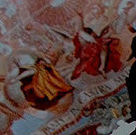 toledo transparente2