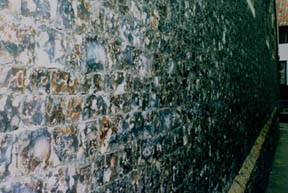 flint wall norwich