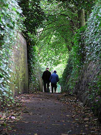 couple-in-lane-penzance