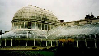 greenhouse