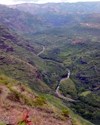 canyon with river