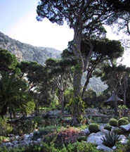 botanic garden