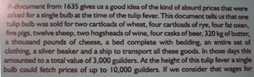 tulip prices