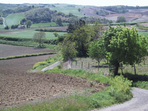 view2
