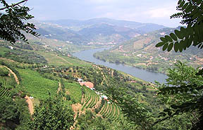 douro near frende