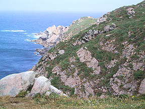 north point