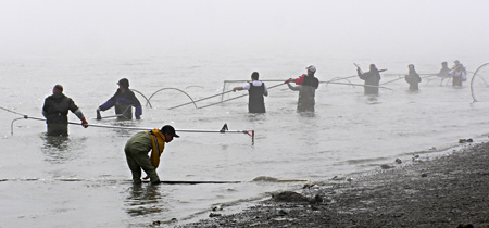 Dip Netting
